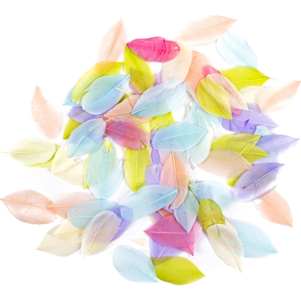 Material pentru artizanat DPCraft Feathers (CEPI-113)