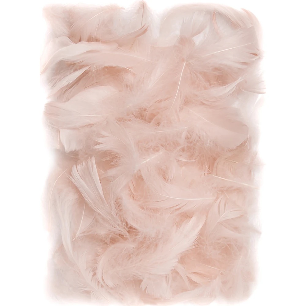 Material pentru artizanat DPCraft Feathers Nude (CEPI-022)