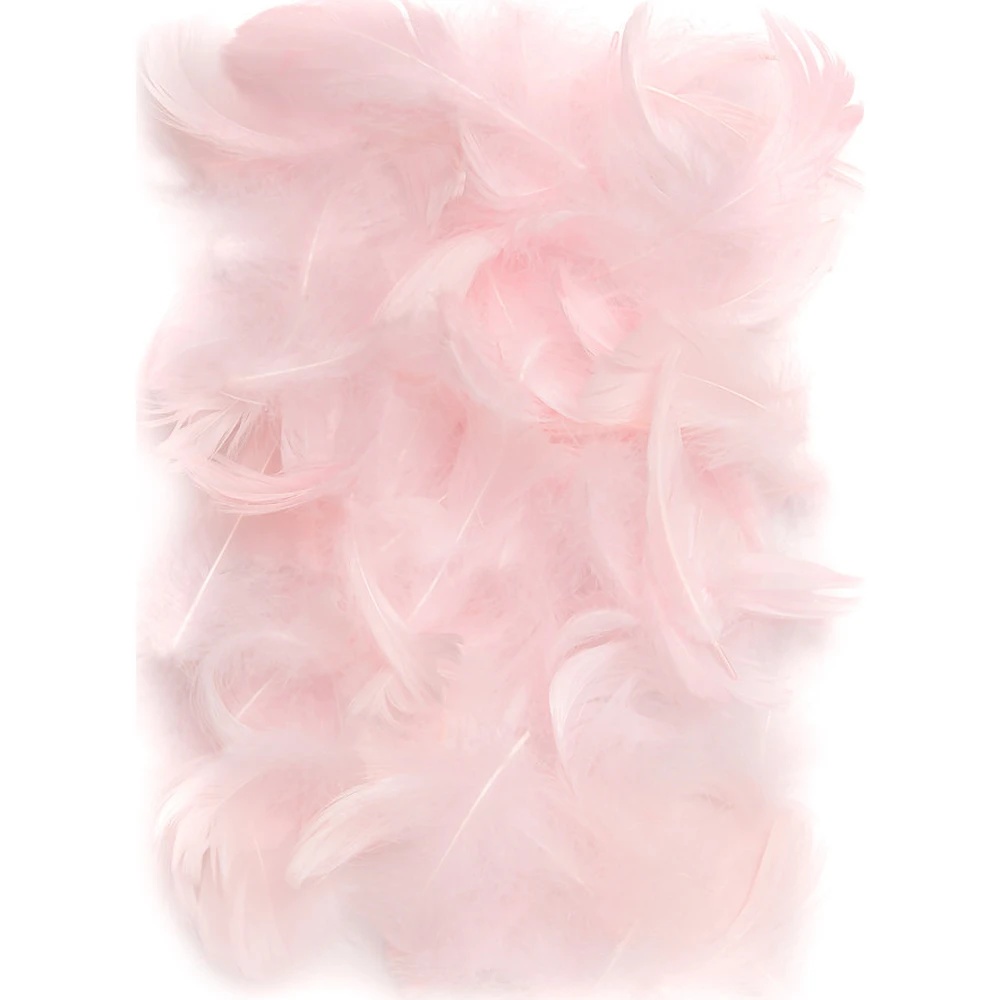 Material pentru artizanat DPCraft Feathers Pink (CEPI-018)