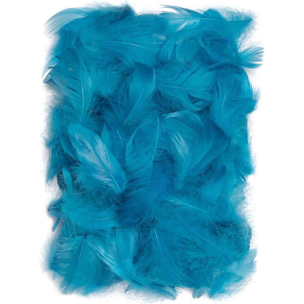 Material pentru artizanat DPCraft Feathers Turquoise (CEPI-025)