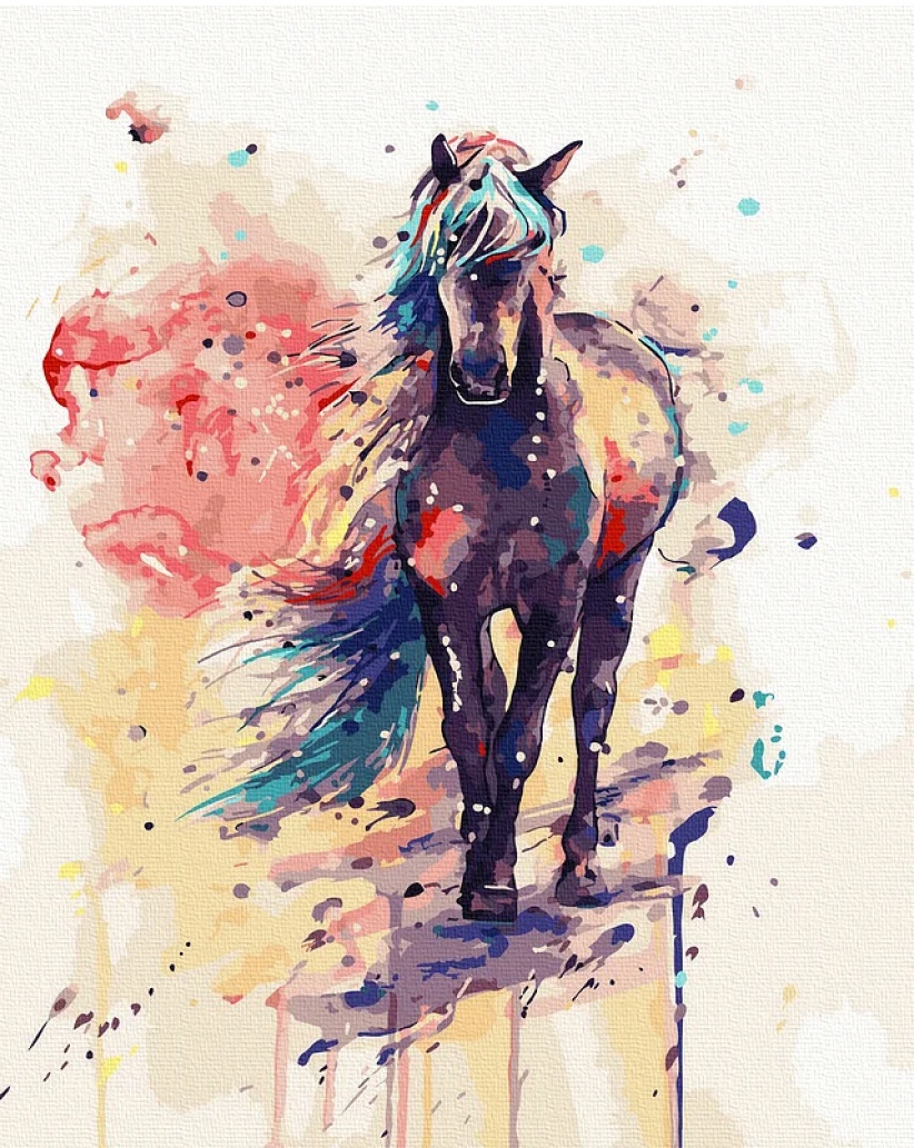Tablou pe numere Colora Horse 40x50cm (G108)