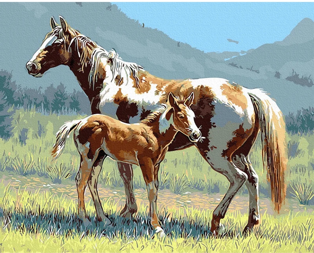 Tablou pe numere Colora Horses 40x50cm (GX4365)