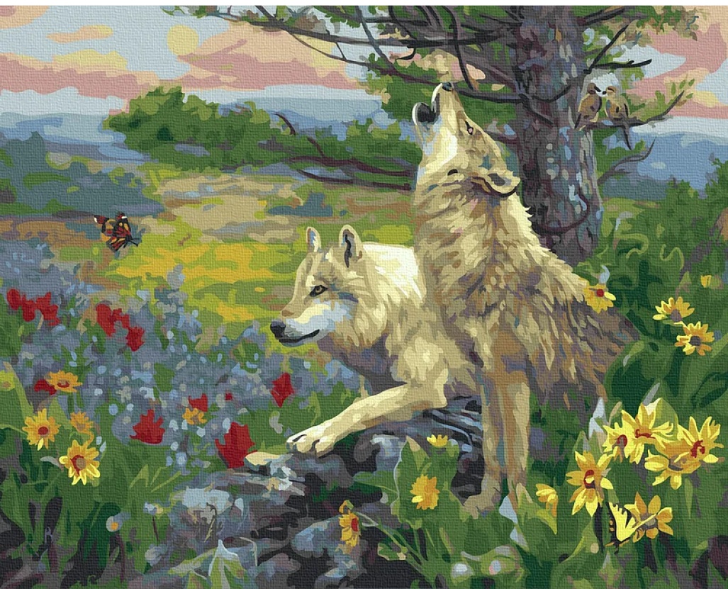 Tablou pe numere Colora Howl 40x50cm (GX43462)
