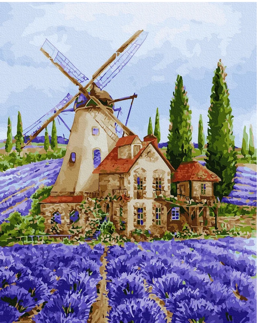 Tablou pe numere Colora Lavander 40x50cm (GX38425)