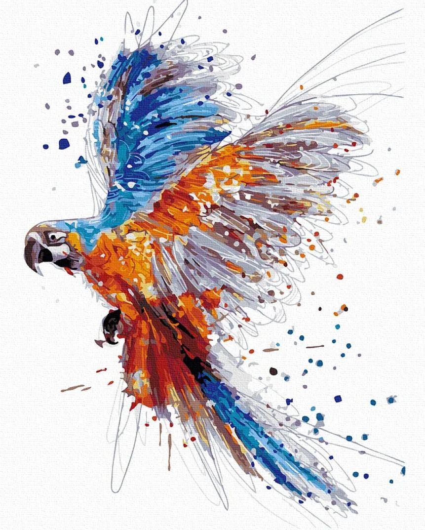 Tablou pe numere Colora Parrot 40x50cm (GX42932)