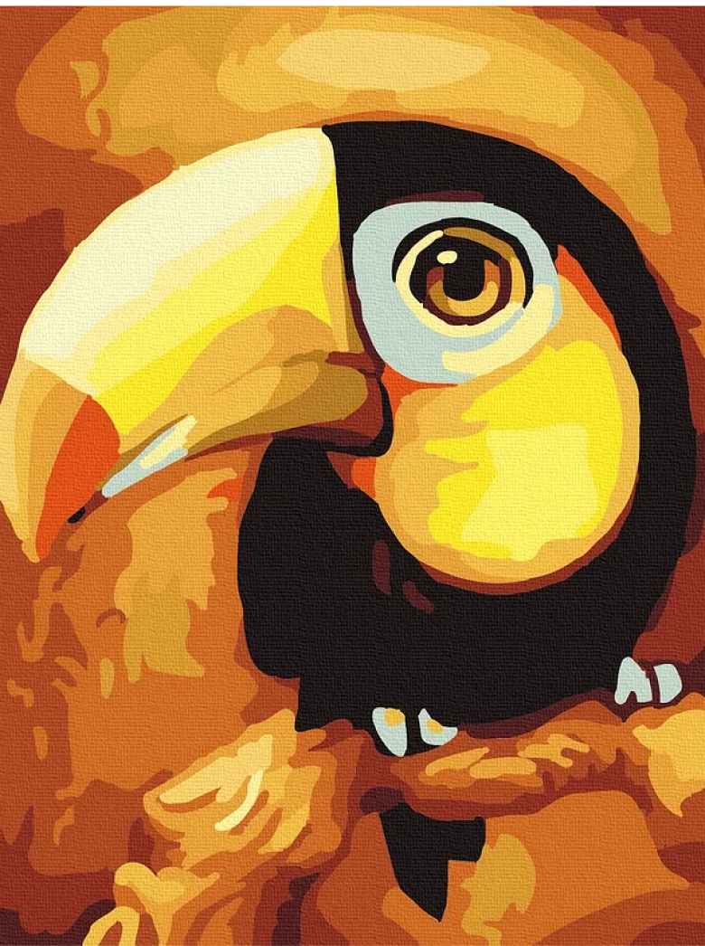 Tablou pe numere Colora Toucan 30x40cm (E111)