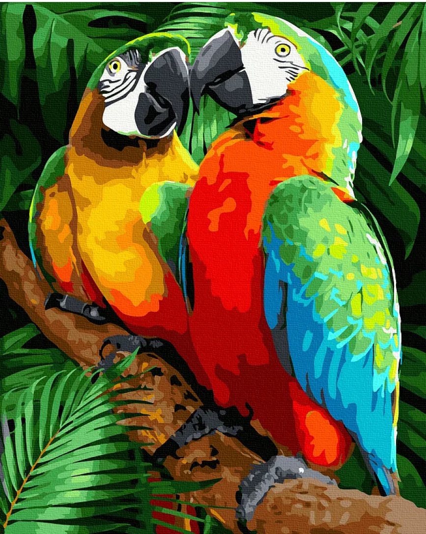 Tablou pe numere Colora Two Parrots 40x50cm (GX40056)