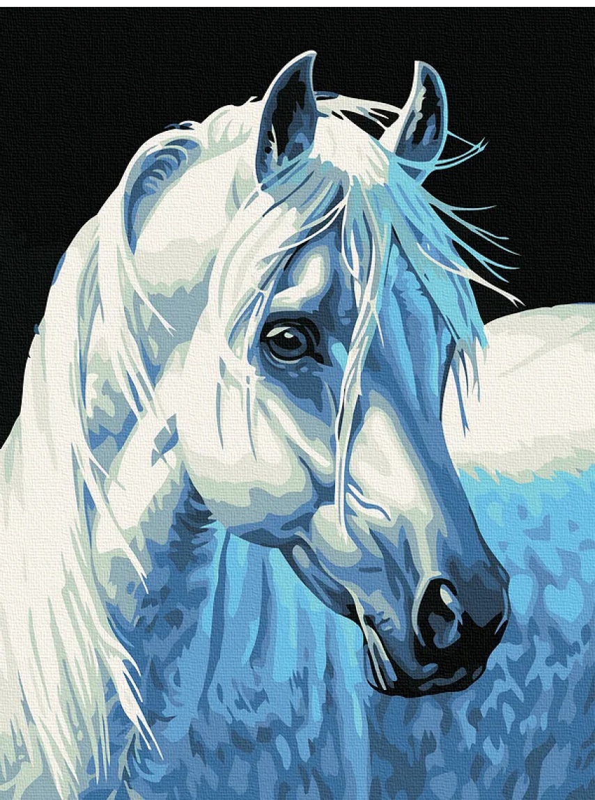 Tablou pe numere Colora White Horse 30x40cm (E082)