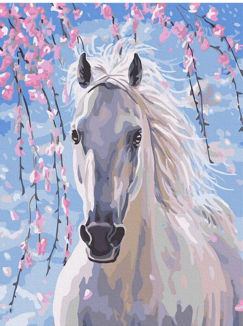 Tablou pe numere Colora White Horse 30x40cm (EX5692)