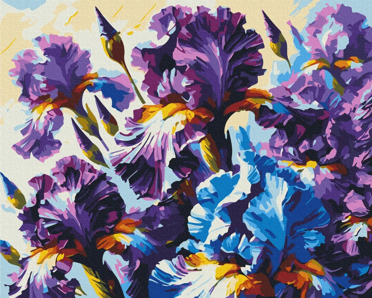 Tablou pe numere Brushme Iris aromat 40x50cm (BS54158)