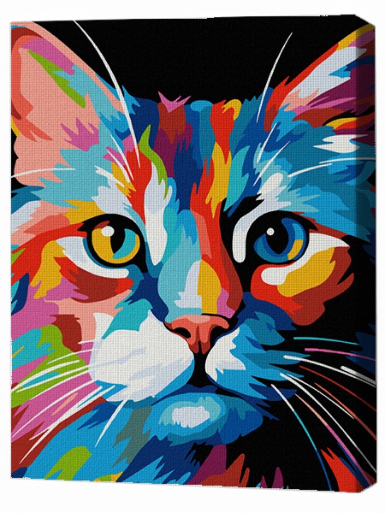 Tablou pe numere Brushme Цветной кот 30x40cm (RMGB003FC)