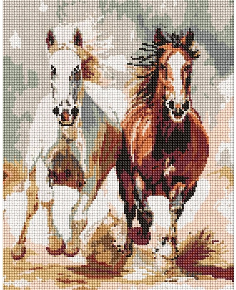 Mozaic cu diamante Ideyka Sensual Race 40x50cm (AMO20044)