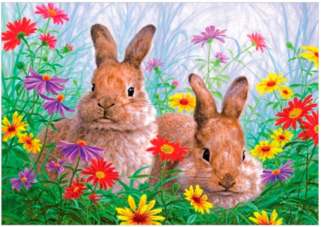 Tablou pe numere PRC Adorable Bunnies 30x40cm (PB6337)