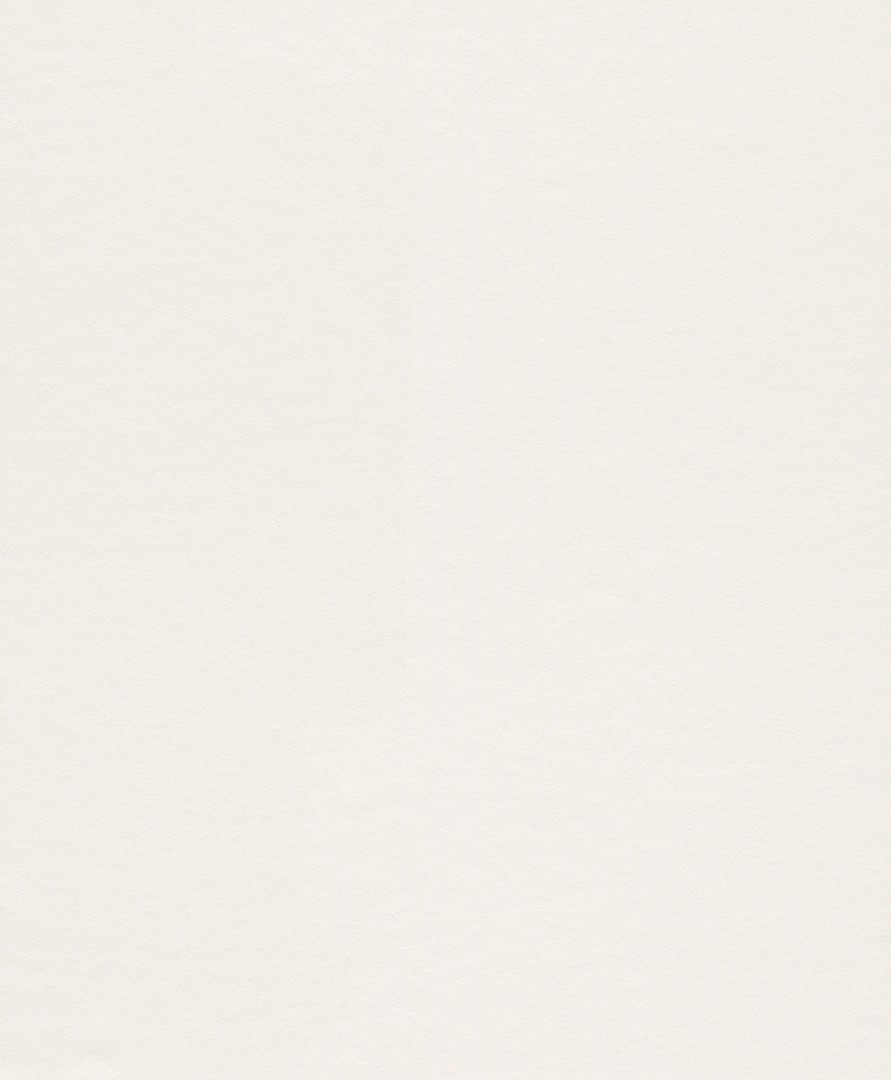 Tapete Rasch 165814 Makulaturvlies