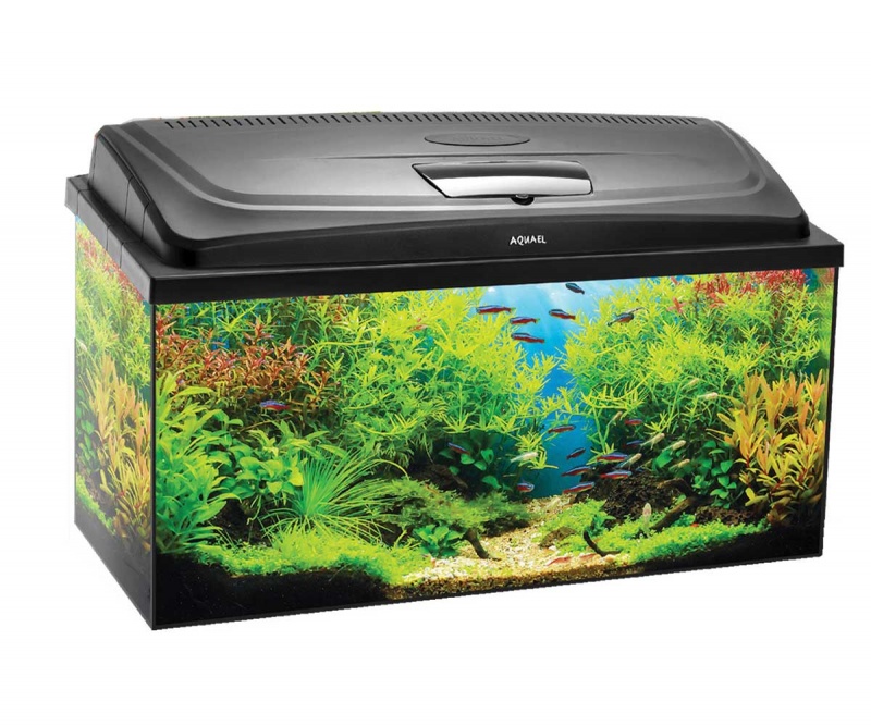 Aquael Aqua4 Start Rectangular