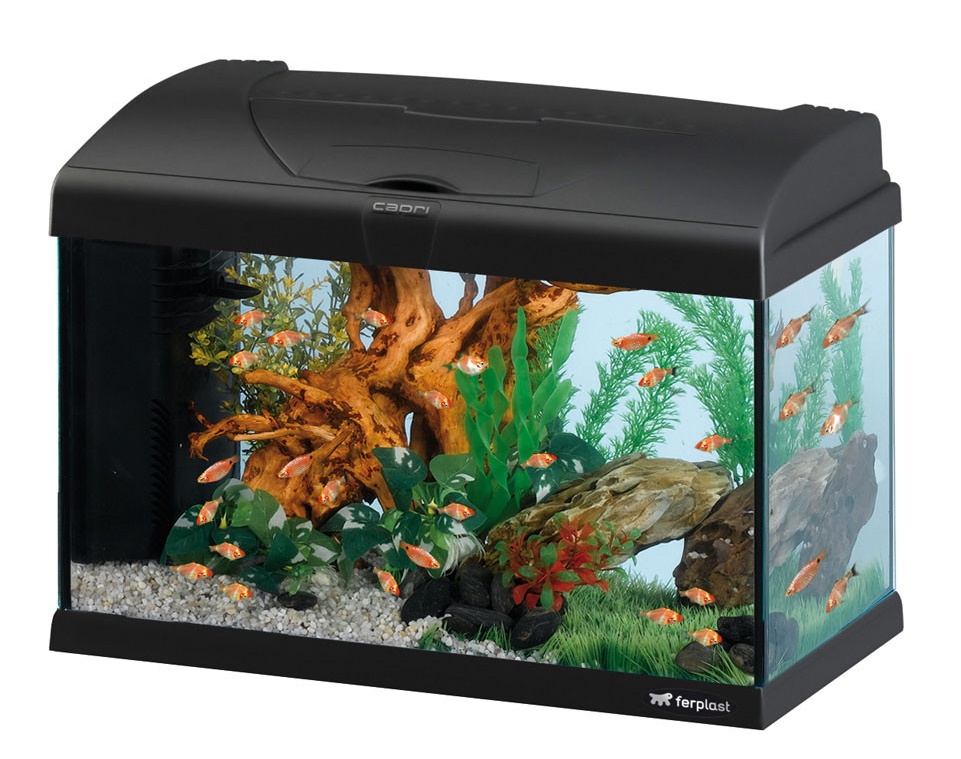 Acvariu Ferplast Capri 50 LED Black 40L