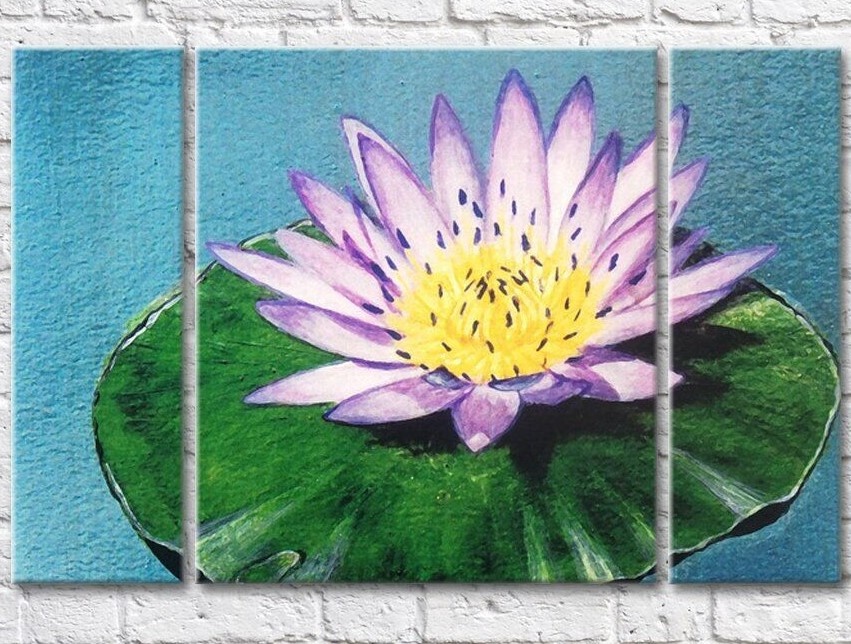 Gallerix Drawing of a lilac water lily