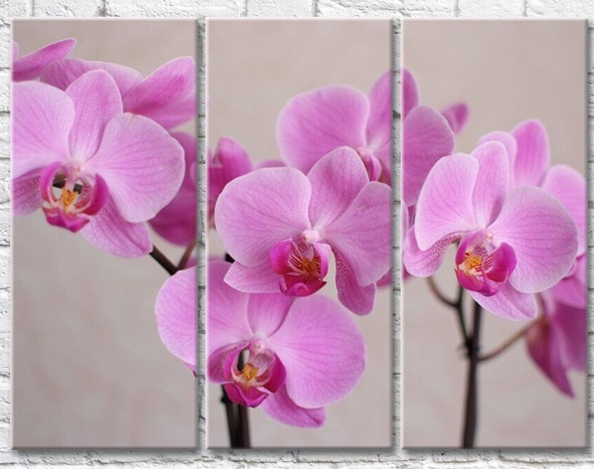 Pictură Gallerix Light lilac orchids on a gray background (500647)