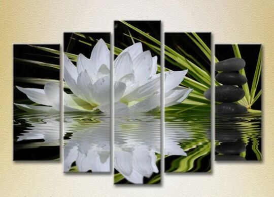 Rainbow Polyptych Water Lily and Massage Stones