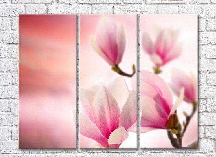 Gallerix Pink magnolia