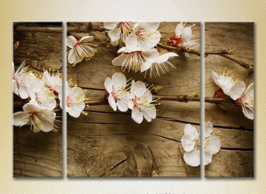 Gallerix Triptych Blossoming branch on board 01