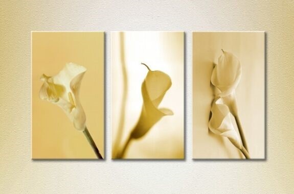 Gallerix Triptych Calla 1